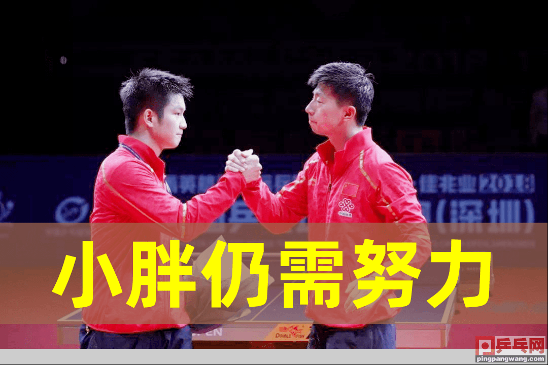 关于日本队轻取德国队，马琳高光表现的信息