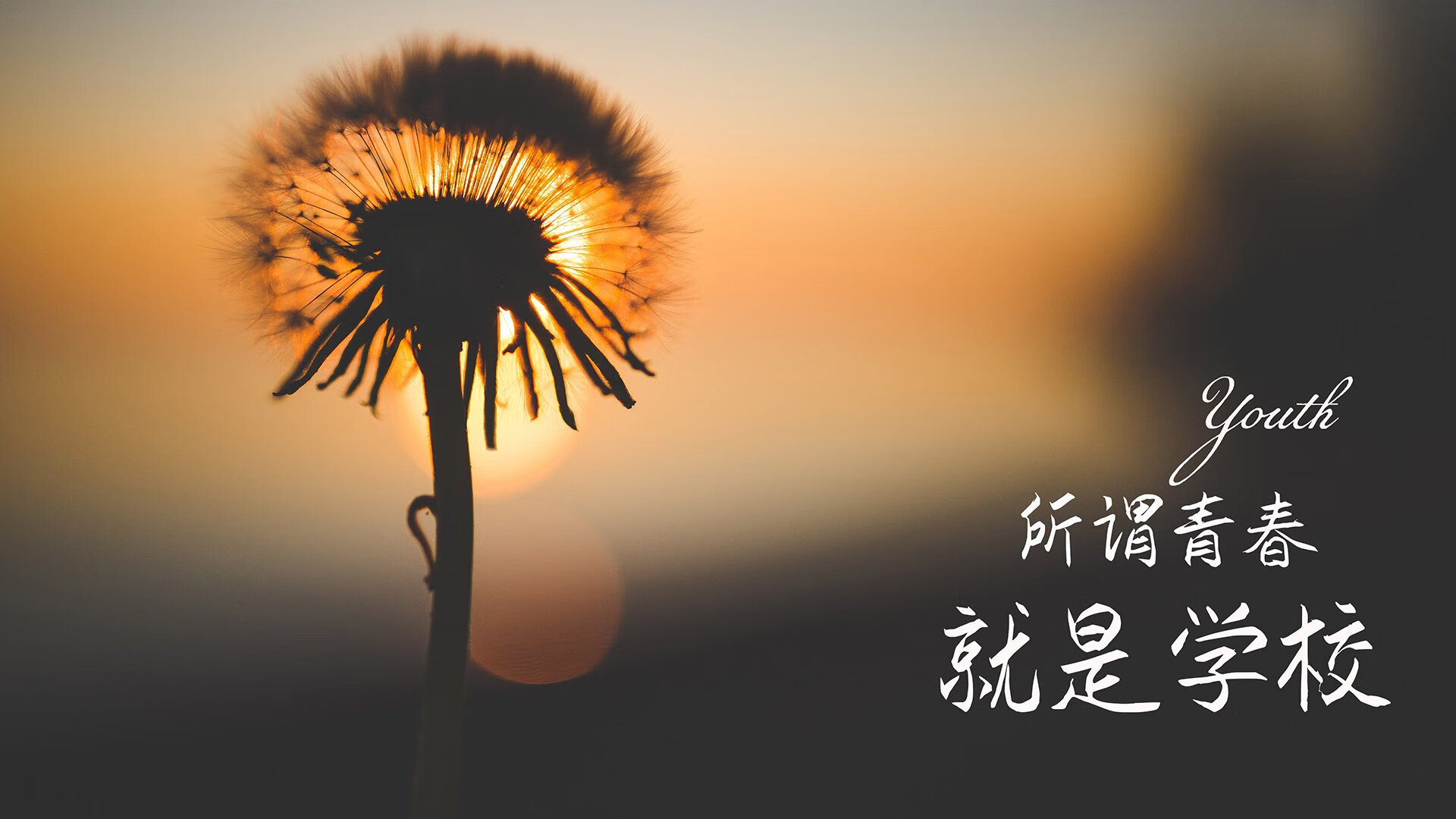 绿茵传奇与银球神话，当英格兰绝杀葡萄牙，张继科刷新纪录