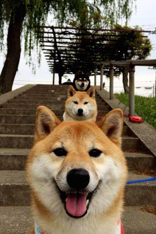 当北欧风暴遇见东方长城，一场跨时空的足球对话中，莫德里奇如何成为意外的胜负手？