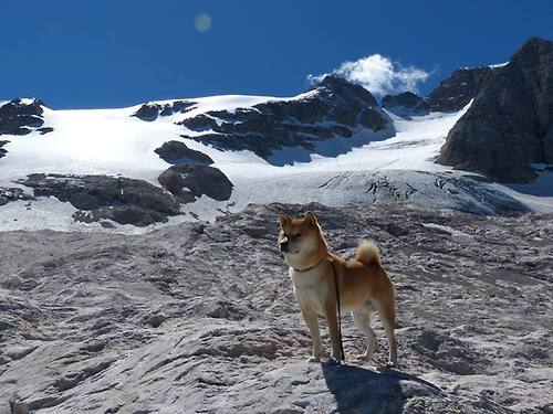星耀圣保罗,基耶萨一锤定音,那不勒斯铁蹄无情碾碎勒沃库森
