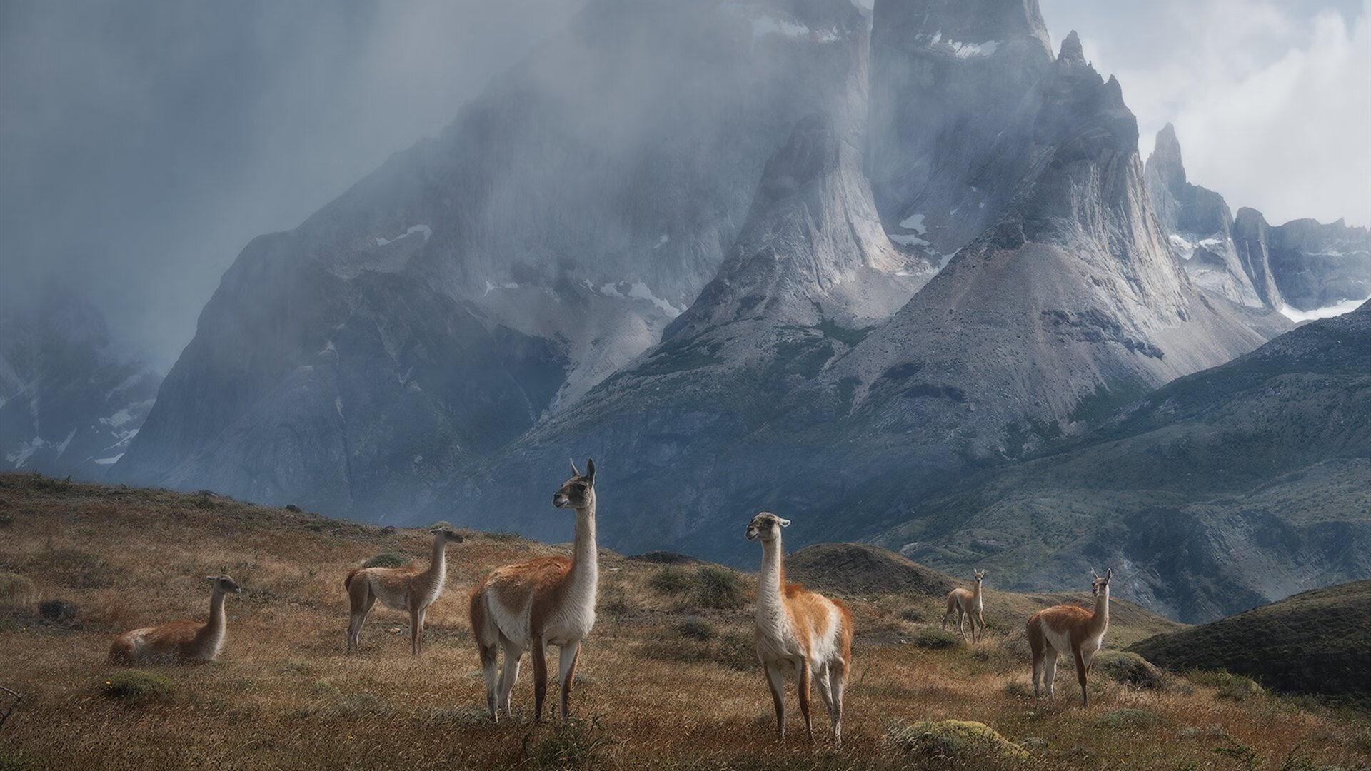 足球的两种艺术,灵巧核心与精密机器
