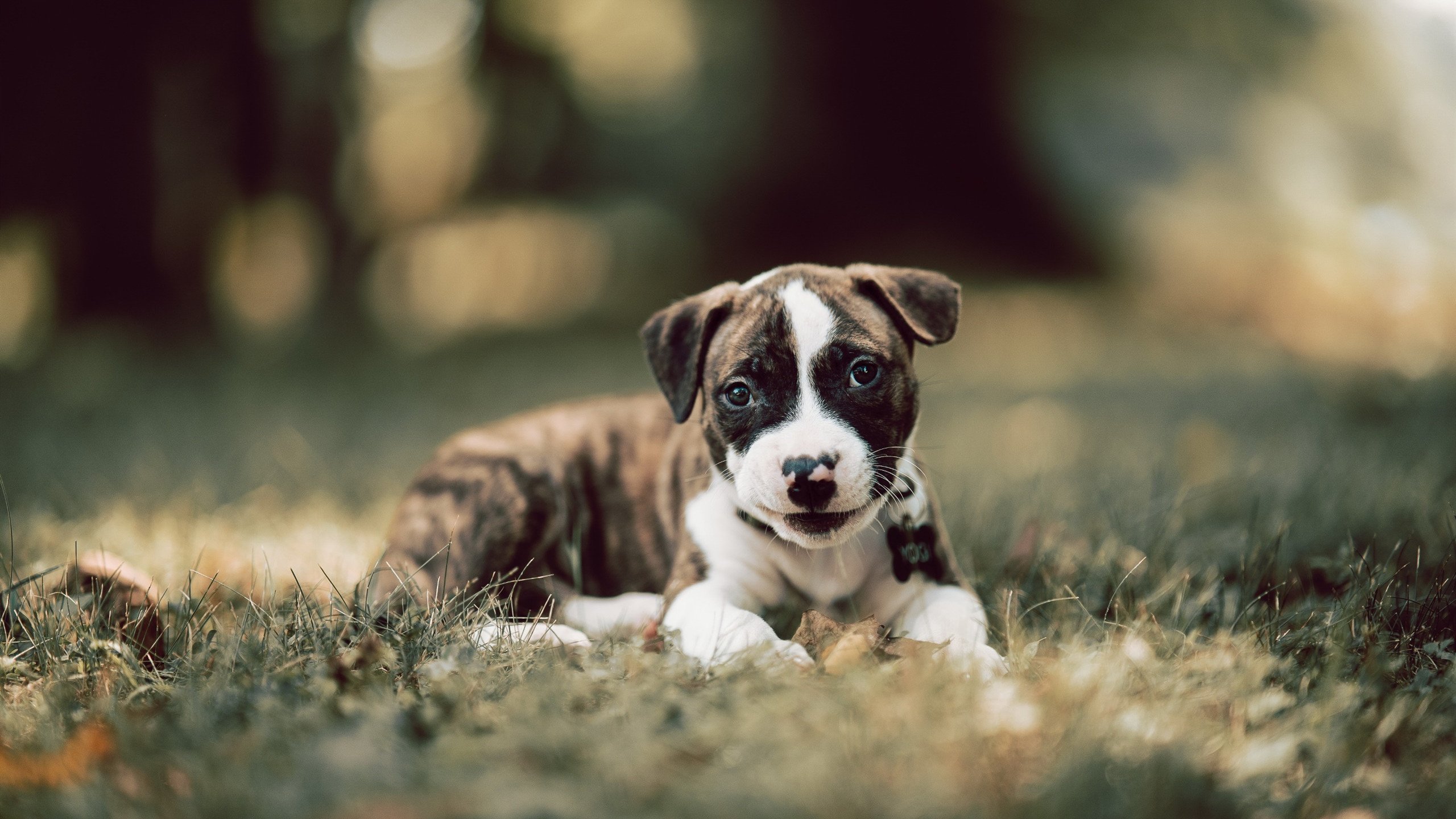 英超争冠的战术教科书，曼城如何上演克罗地亚式全面压制