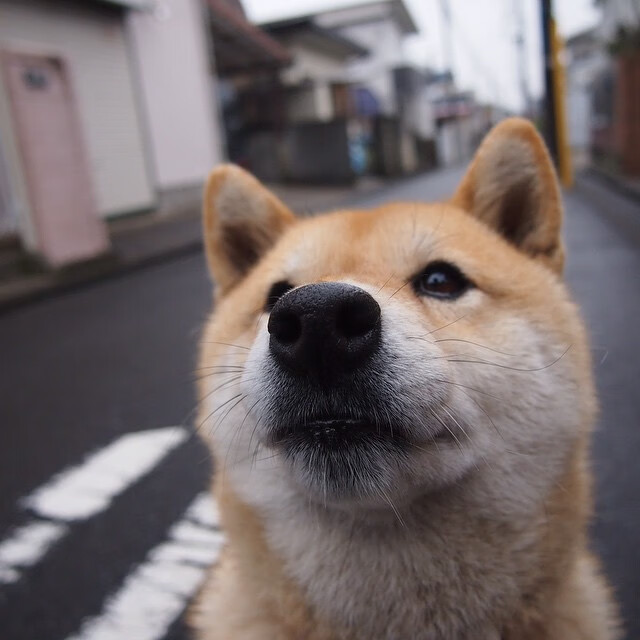 齿轮与星辰,当哥斯达黎加推开巴拉圭,基米希在决赛夜照亮凡人之光