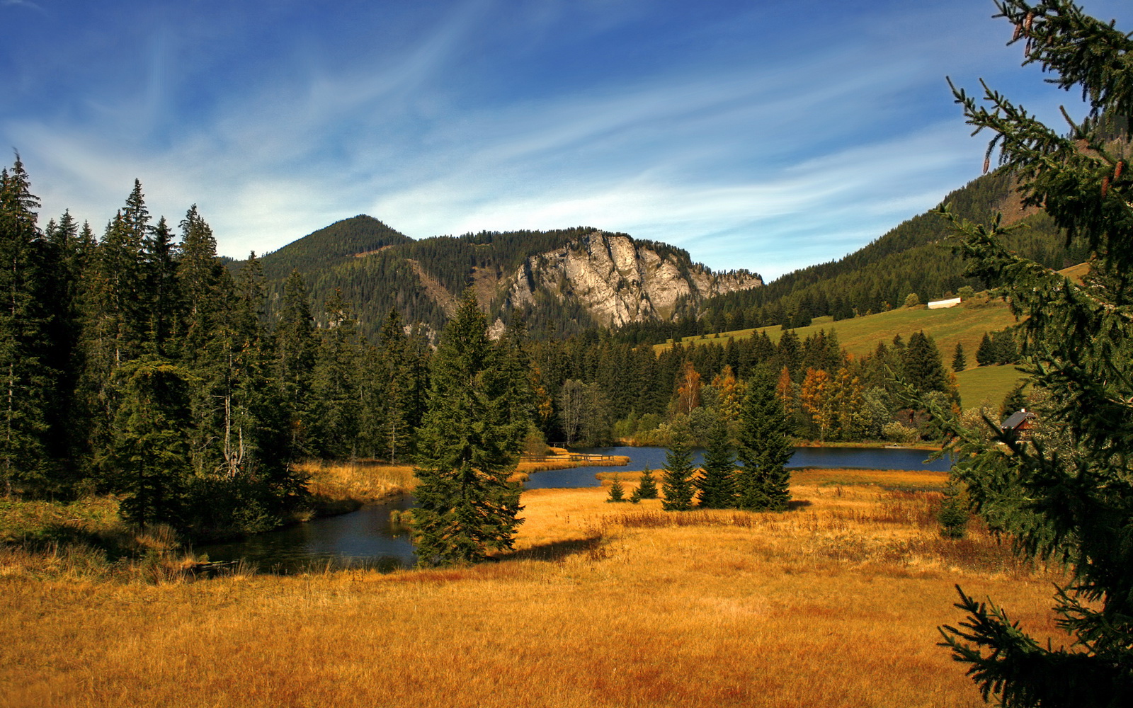 冰封高原！莫兰特44分压制级发挥，灰熊冲垮掘金主场