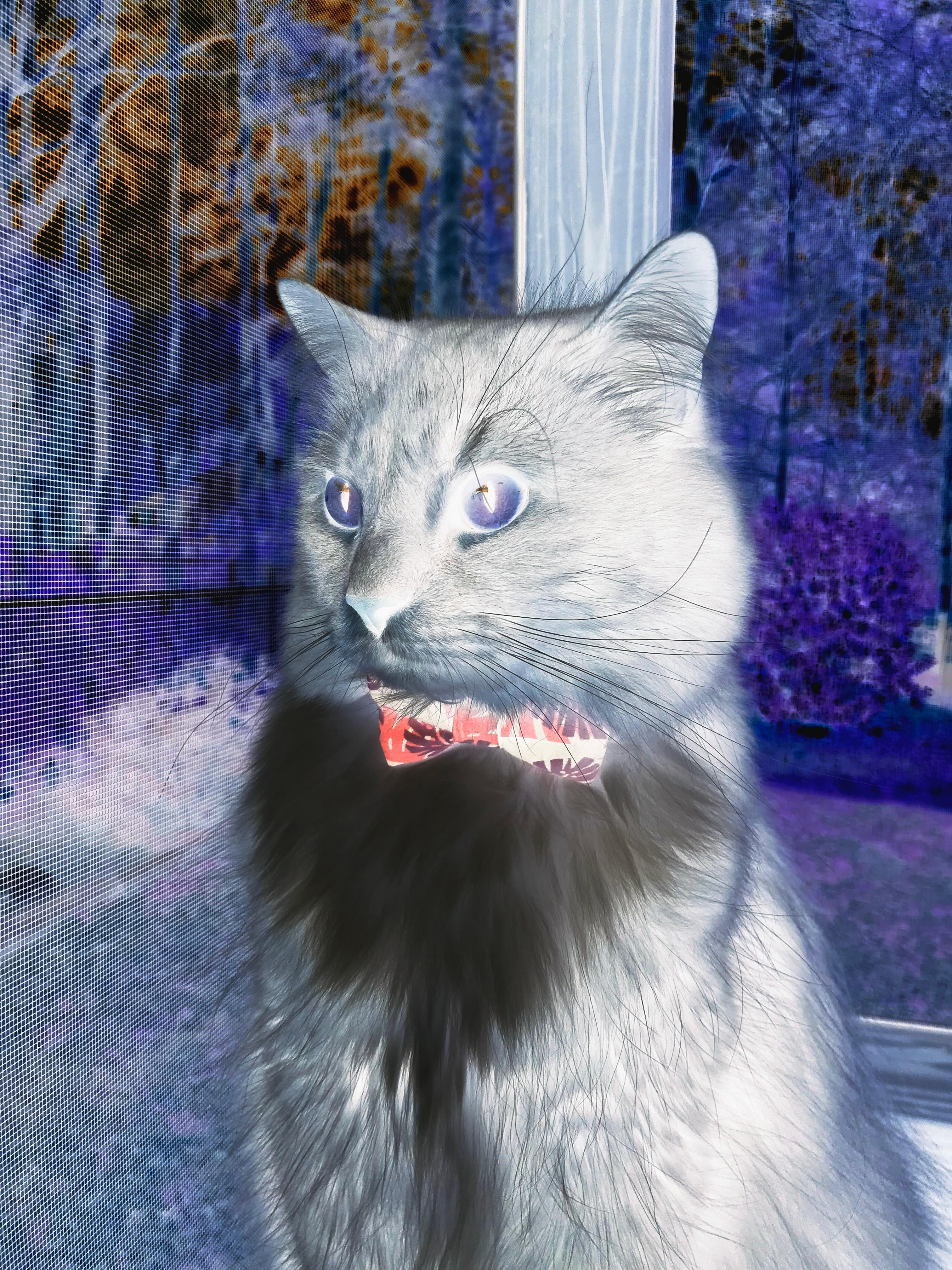 跨越万里的强压，锡安末节统治，骑士险胜浙江显关键先生本色