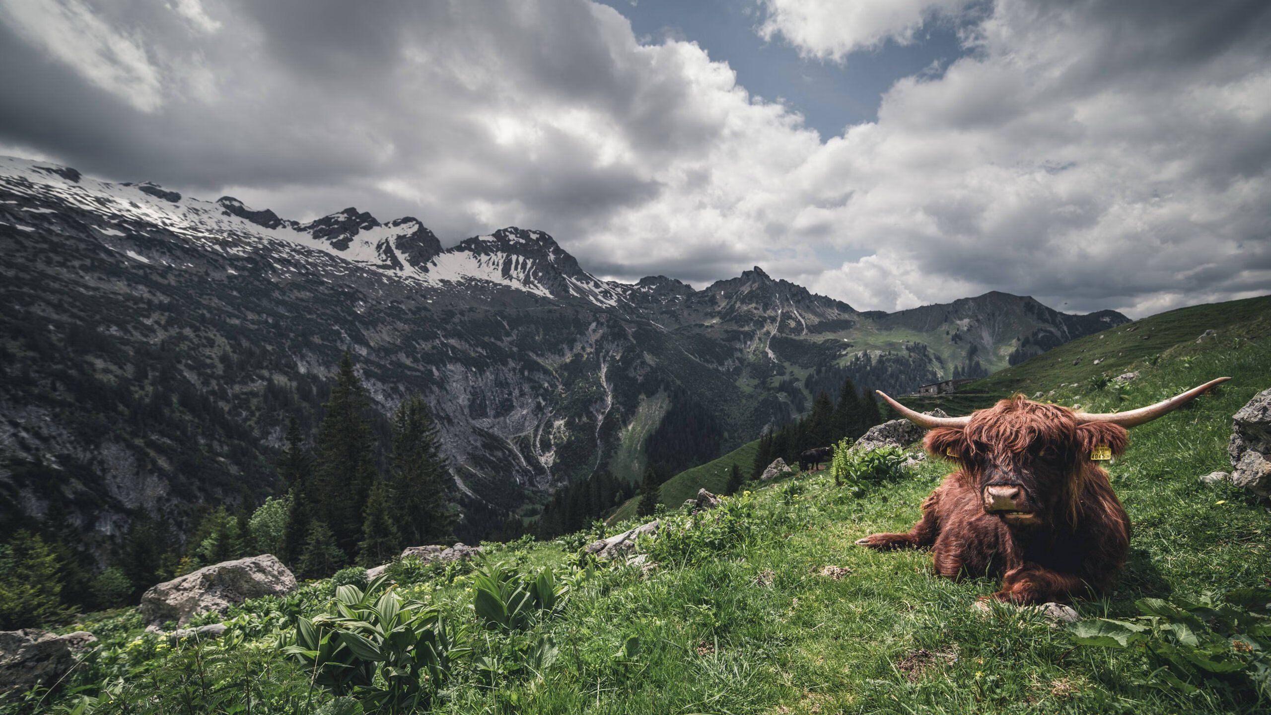 星河与烽火，篮球宇宙里的并行叙事