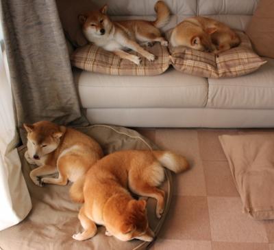 完美却徒劳，米切尔的教科书级表现，步行者惜败掘金的启示