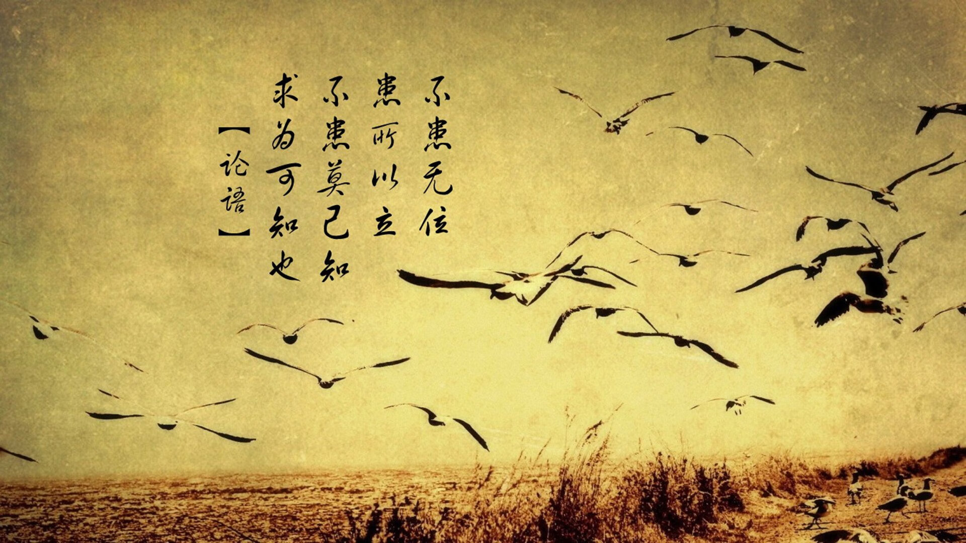 破盾者的诗篇，猛龙如何从戈贝尔的统治领域突围