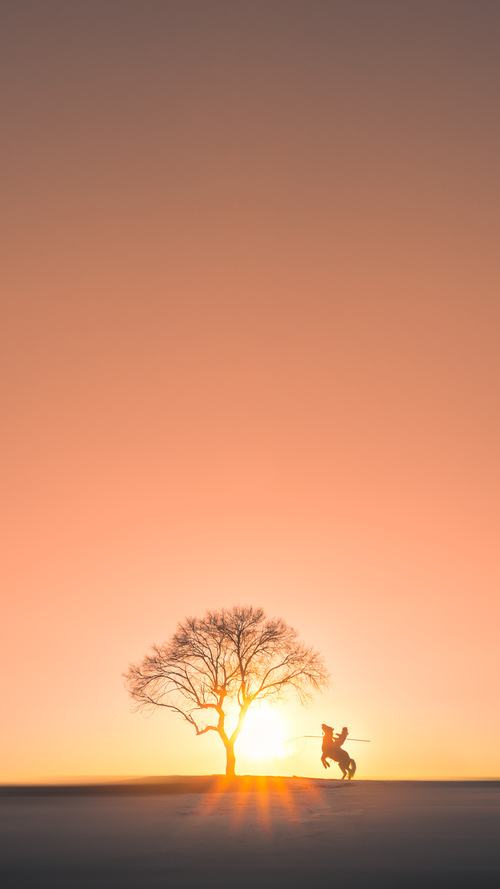 鏖战至终章，浙江队争冠战胜爵士，锁定年度焦点之战荣耀