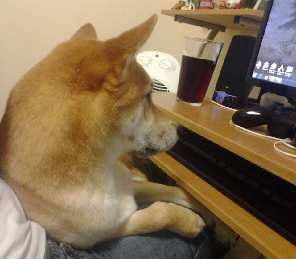 时空交错之战，利拉德领衔复古公牛逆袭宇宙勇