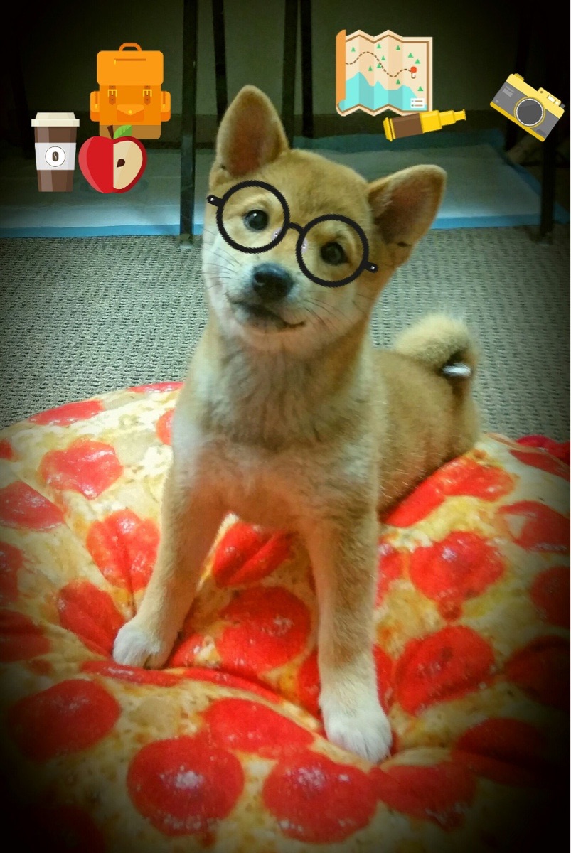 美与力的二重奏，迪马利亚满分闪耀，摩洛哥苦战折射足球多元本质