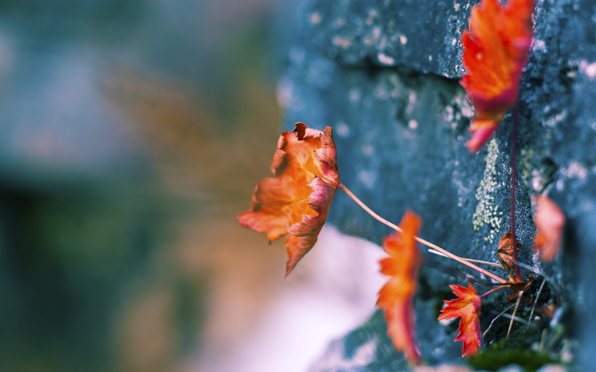 铸就金杯的教科书,乔治的欧冠决赛之夜