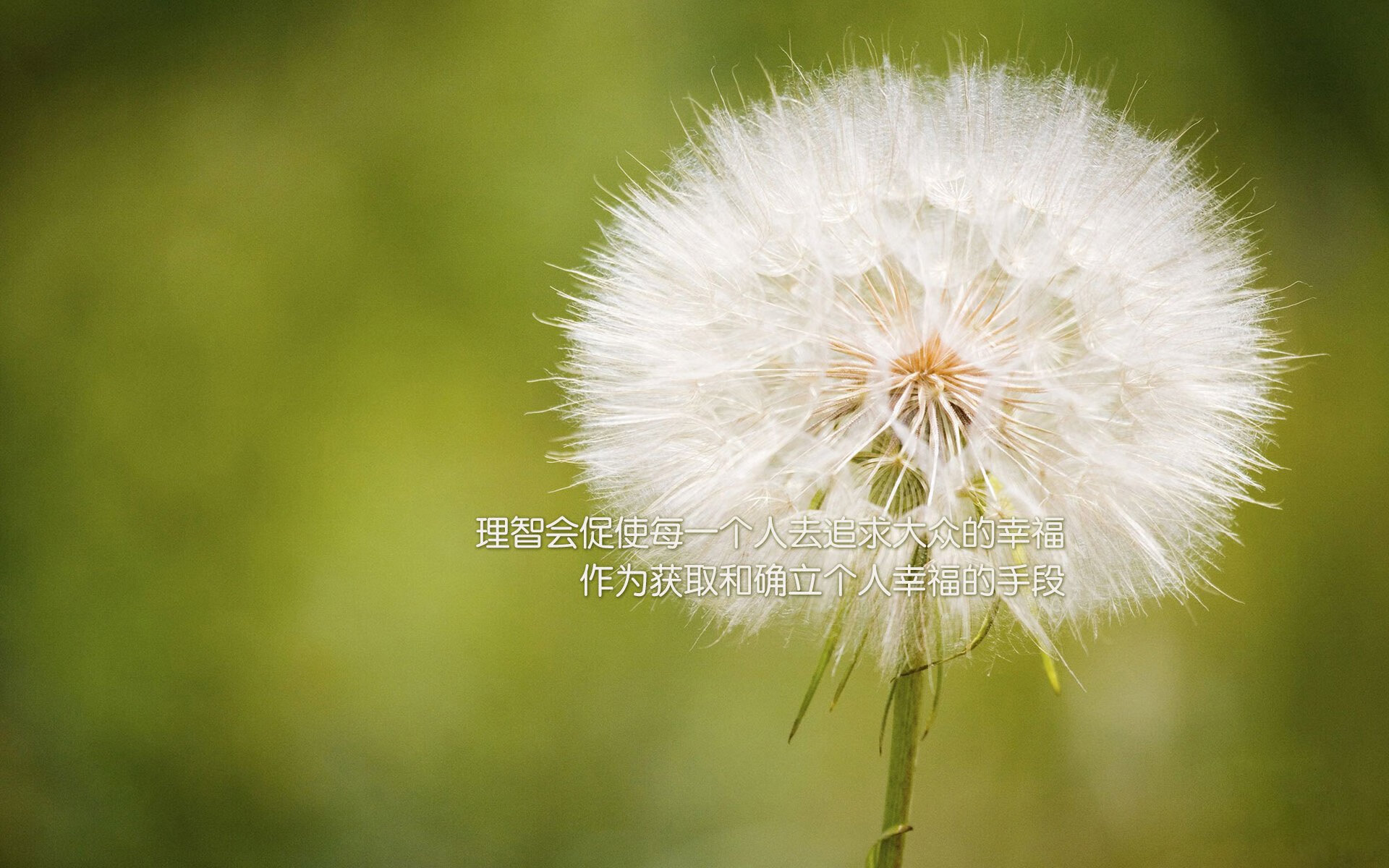 宿命的回响,2026世界杯E组,波兰压制葡萄牙,久保建英完成致命一击