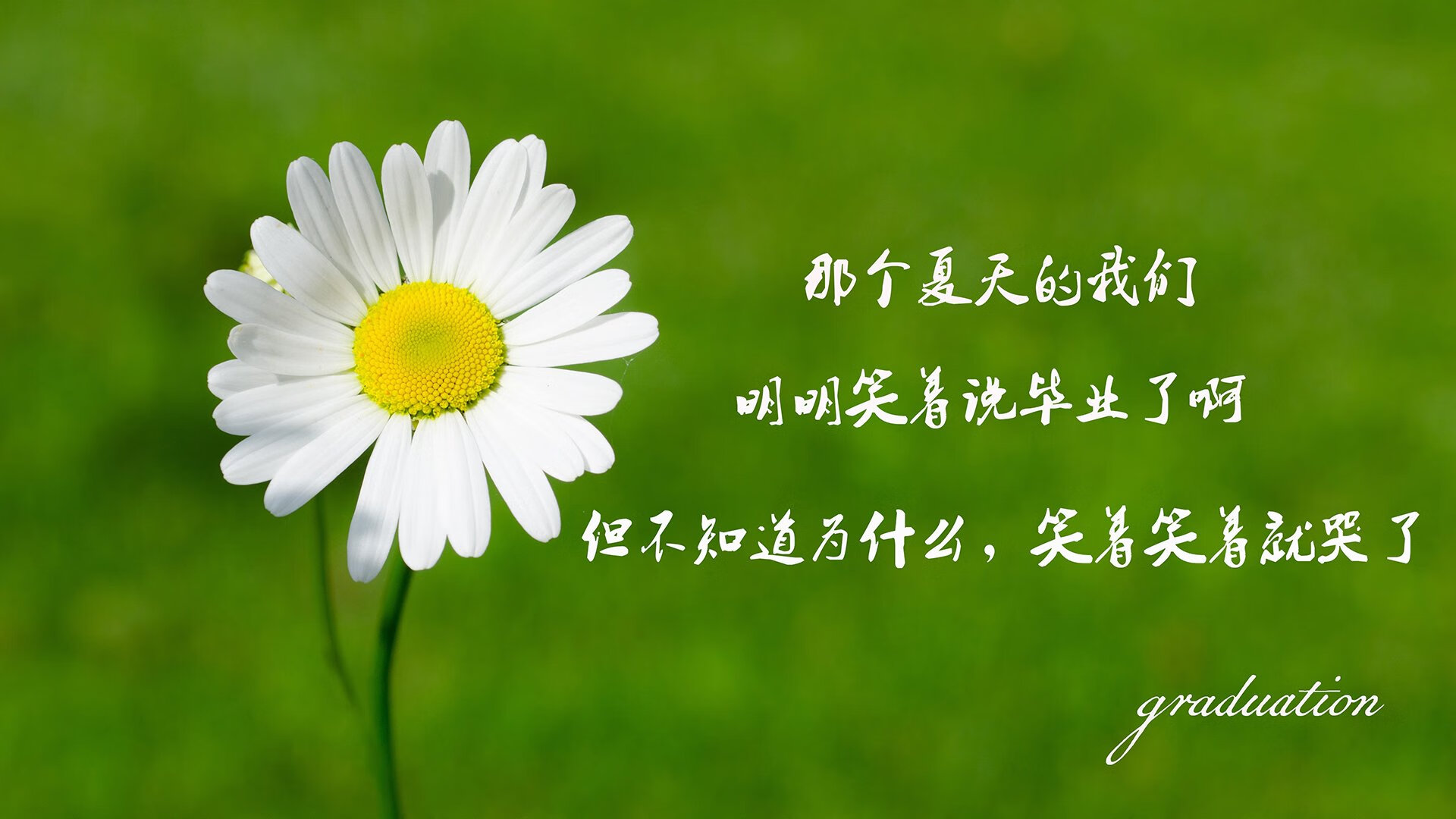 喀麦隆雄狮怒吼！B组焦点战爆冷逆转波兰，凯恩独造三球主宰全场