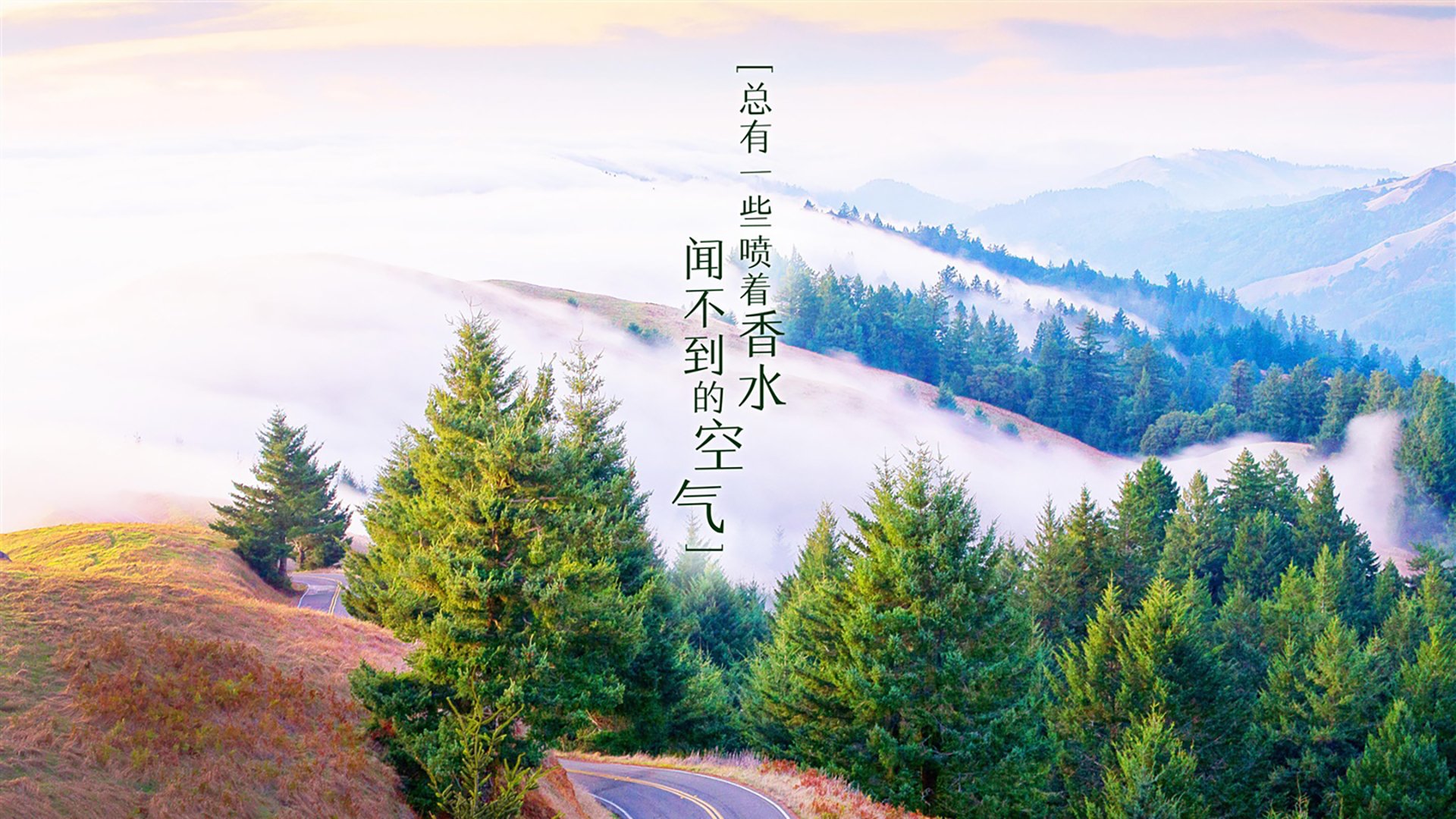 这是一篇为您定制的深度分析文章，标题和内容均紧扣唯一性与战术颠覆的核心