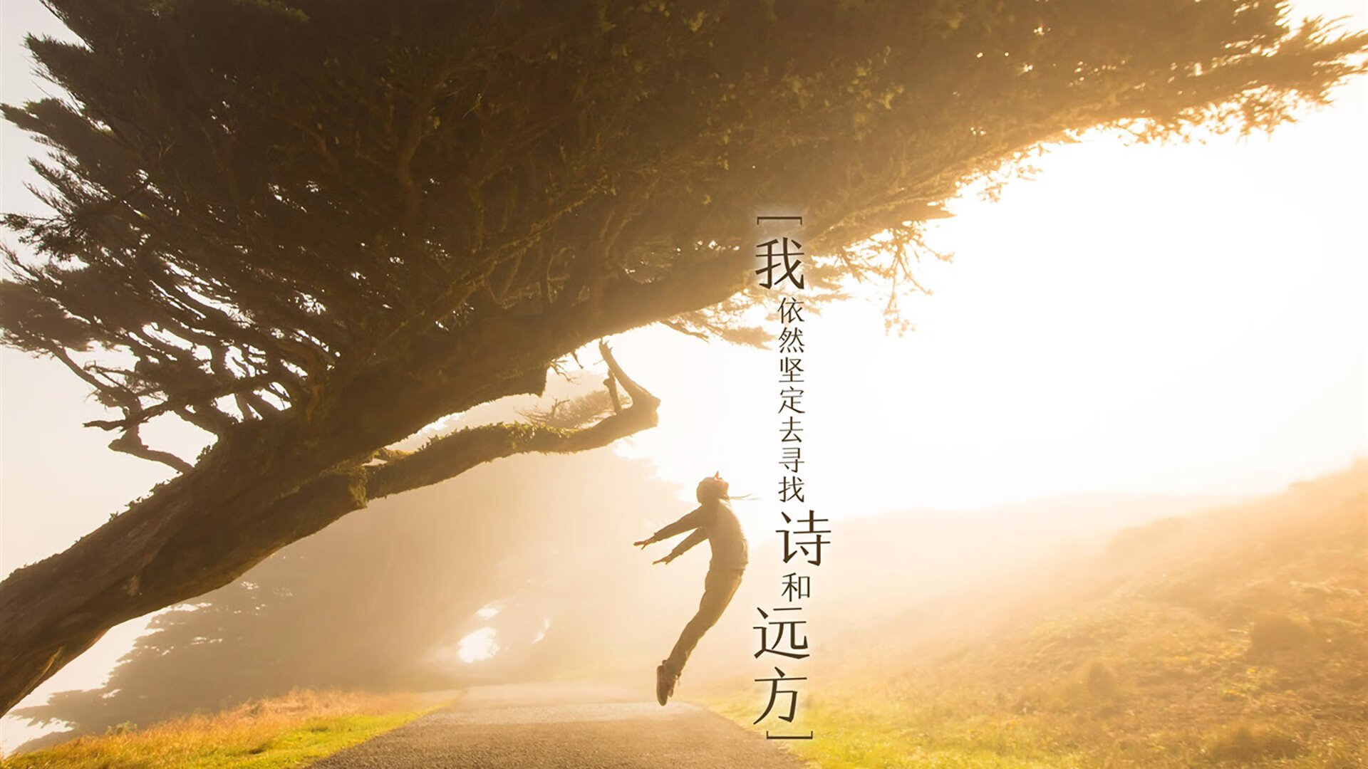 郁金香绽放中的黑色闪电,卢卡库压哨绝杀,荷兰大胜厄瓜多尔的D组史诗之夜