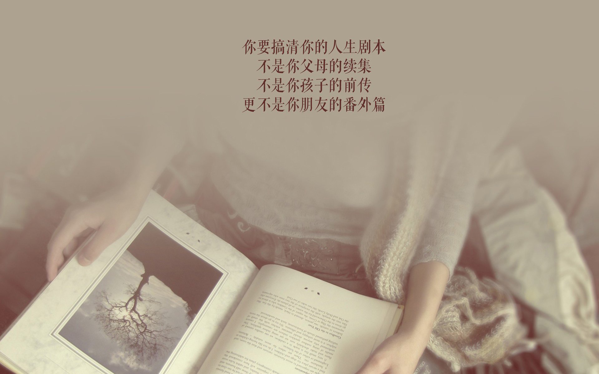 北欧神话再现,挪威以绝对统治力击溃伊拉克,阿方索·戴维斯化身冰火双刃主宰2026世界杯关键战